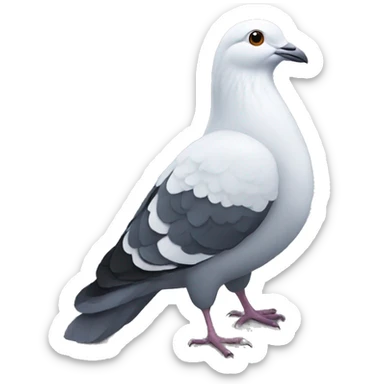 DR. Pigeon sticker