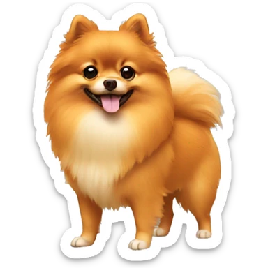 Orange pomeranian sticker