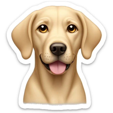 beige labrador dog with floppy ears sticker