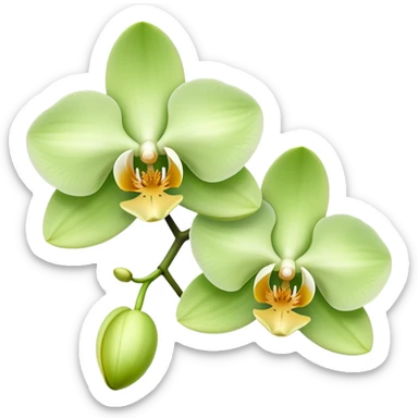 light green orchids sticker