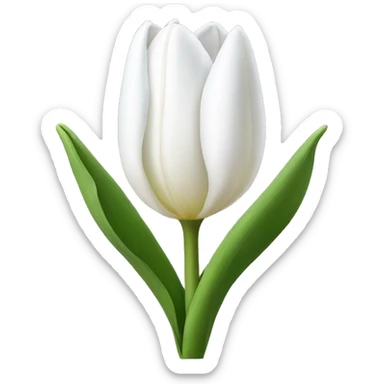 White tulip sticker