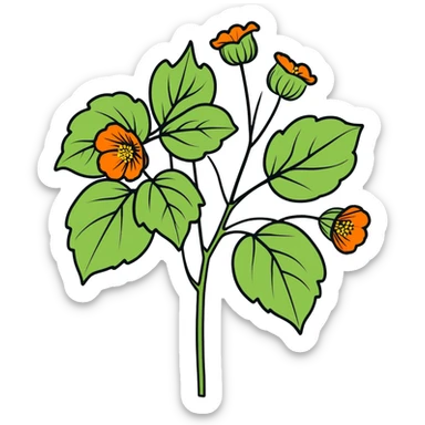 Abutilon hyperrealistic plant in full bloom, isolated vector die-cut sticker, with clean smooth lines, 4k hd professional quailty, 300 dpi, no emoji icons, no emoji faces, colorful. sticker