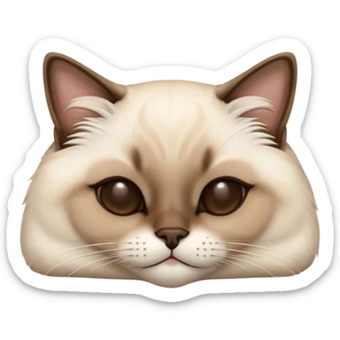 Siamese cat laying down and closing her eyes  sticker