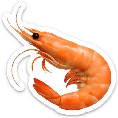Shrimp sticker