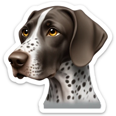 German shorthaired pointer with a black spot around the right eye sticker