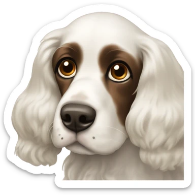 White cocker spaniel with dark brown ears sticker