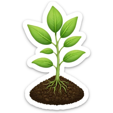 A tiny two leaf seedling coming out of a seed without any mud or gravel just a seed sticker