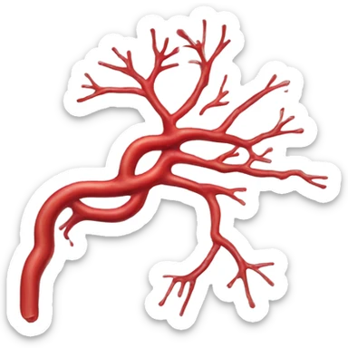 Veins and arteries of human body sticker