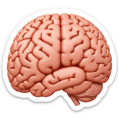 "Realistic 3D human brain emoji, detailed neural folds, soft reflections, glossy texture, subtle shadows, rounded friendly emoji shape, high resolution, transparent background" sticker