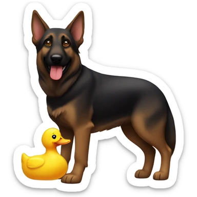 Dark brown German shepherd with a squeaky duck toy sticker