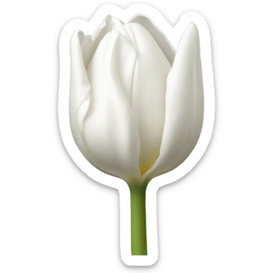 white tulip sticker