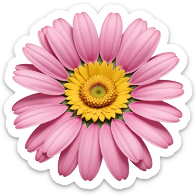 “A Polaroid-style photo of a pink daisy  sticker