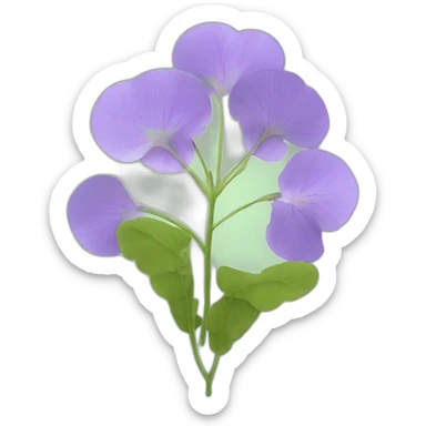 Lunaria sticker