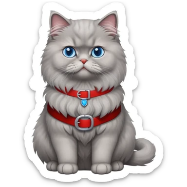 gray Persian cat full body sitting with blue eyes and red belt sticker