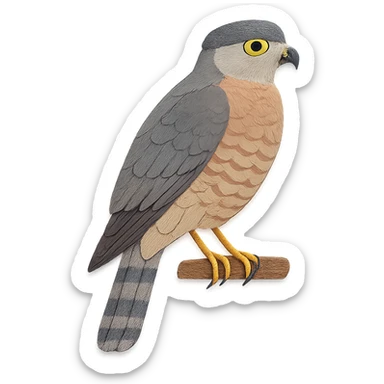 Cooper’s Hawk sitting on a branch, delicate paper layers, realistic feather patterns, subtle color variations, alert posture sticker