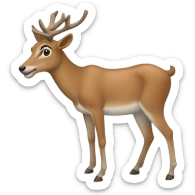 Renne marocaine sticker