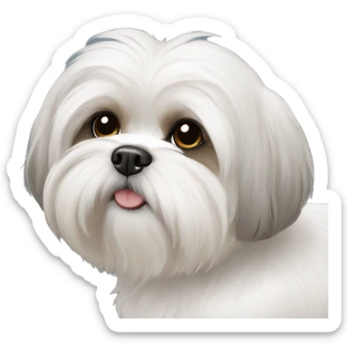 White shih tzu  sticker