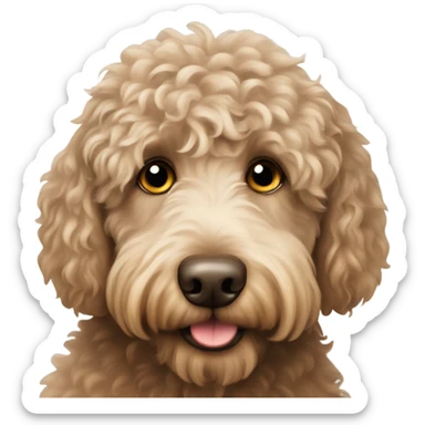 Australian Labradoodle  sticker