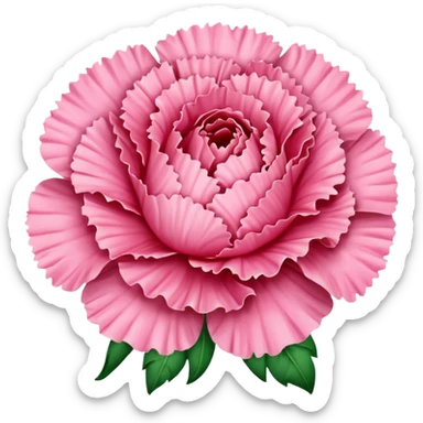 Pink carnation emolis sticker