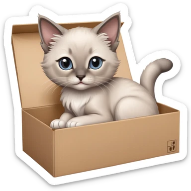  A very cute gery young kitten long hair Siamese Cat cat with one's head tilted to one side poked its paws out of the cardboard big box and placed them on top of it sticker