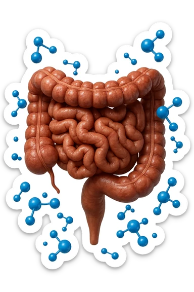 INTESTINO UMANO ANATOMICO CON MOLECOLE CHIMICHE BLU IN 3D CHE GLI FLUTTUANO INTORNO, IPERREALISTICO 4K sticker