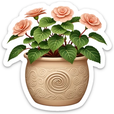 Begonia Rex in a beige pot with spiral pattern leaves sticker