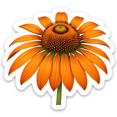 Amazing. What about orange echinacea? sticker