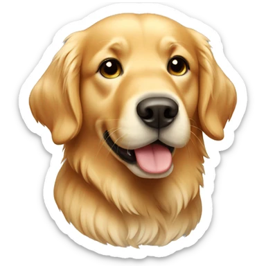 Golden retriever  sticker