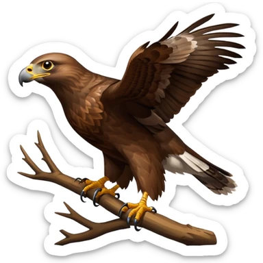 Common Buzzard sticker