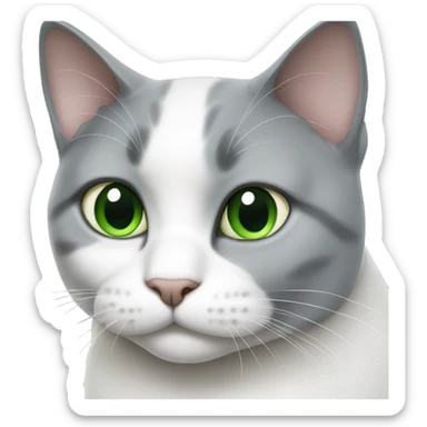 Fat gray and white cat with green eyes  sticker