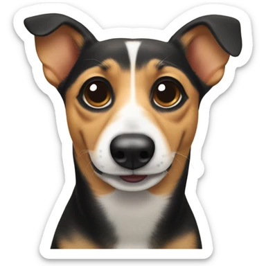 Dachshund corgi mix dog with black whiskers sticker
