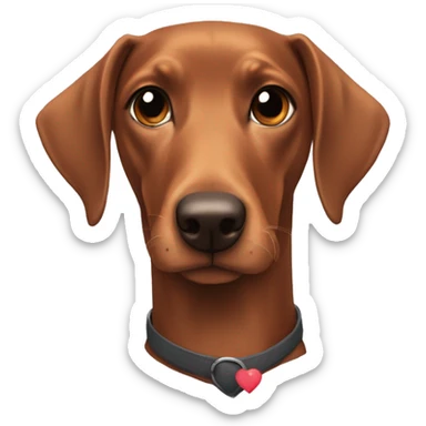 dobie with heart sticker