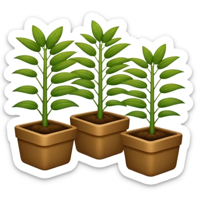 plantas abundantes tipo helecho en macetas rectangulares color café sticker