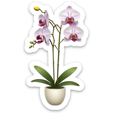 orchid sticker