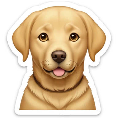 Adult Labrador retriever sticker