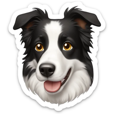 Persona con un border collie sticker