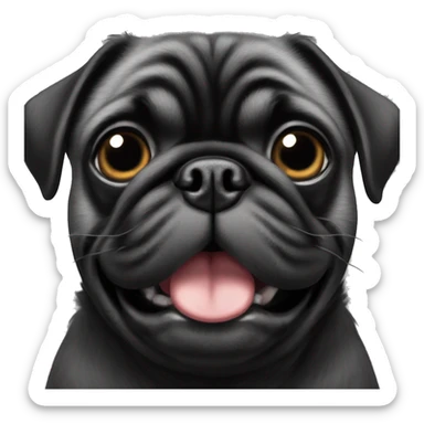 Black pug with lots of grey fur around her mouth   sticker