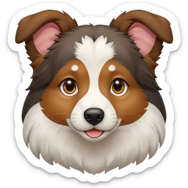 собака породи ауссі триколор з передніми білими  без білої смужки на голові  sticker