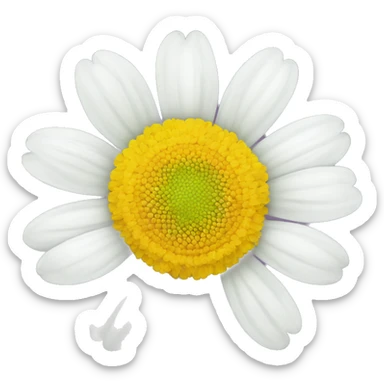 CHAMOMILE FLOWER sticker