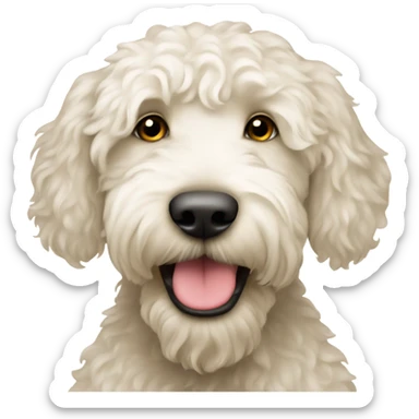 White f1 labradoodle sticker