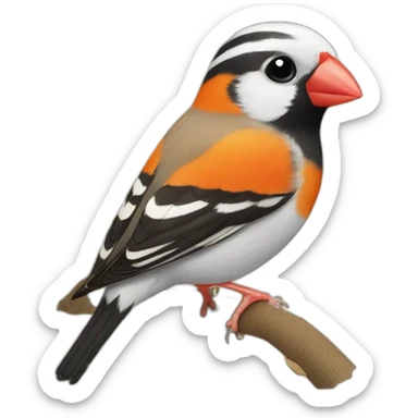 chestnut flanked zebra finch sticker