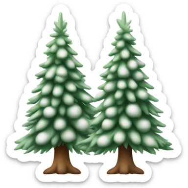  actual white fir christmas tree isolated.  sticker