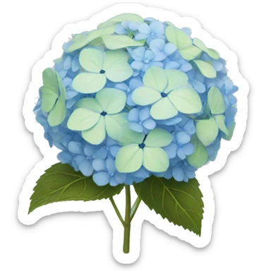 Light blue hydrangea  sticker