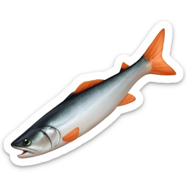 Une tranche de saumon qui sourit  sticker