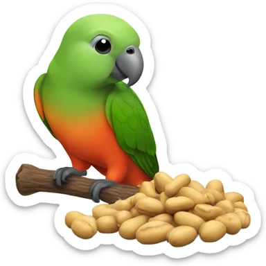 Red bellied parrot eating a peanut sticker