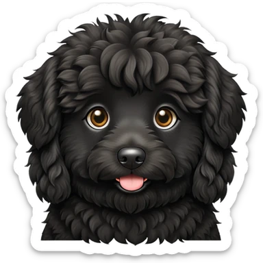 black aussiedoodle  sticker