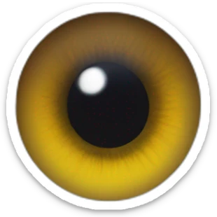 A human iris sticker