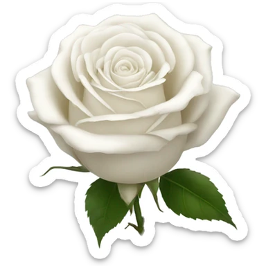 White rose  sticker