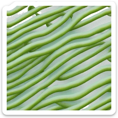 Spring coil slinky sticker