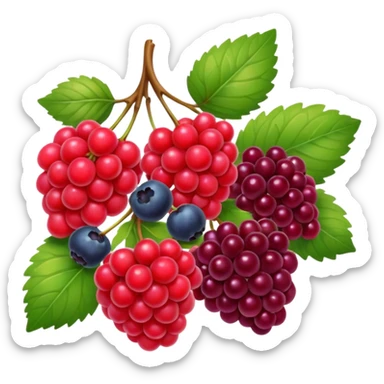 frutti di bosco sticker